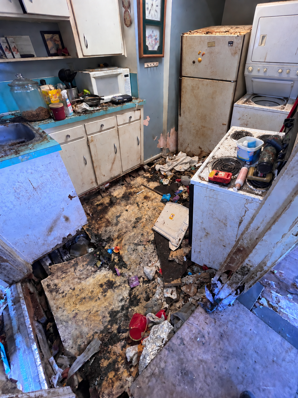 property-cleanout-before