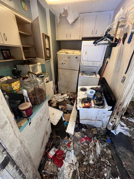 property-cleanout